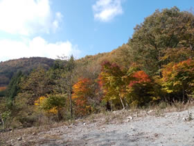 藤無山