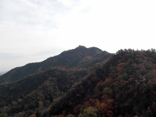 善防山