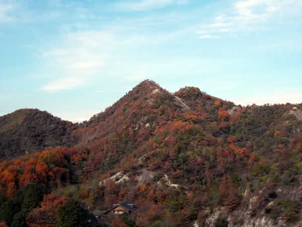 笠松山