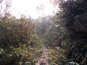笠松山