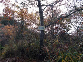 笠松山