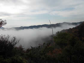 笠松山