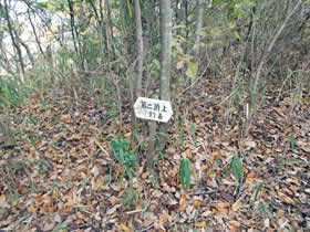 笠松山