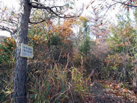 笠松山