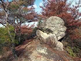 笠松山