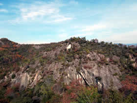 笠松山