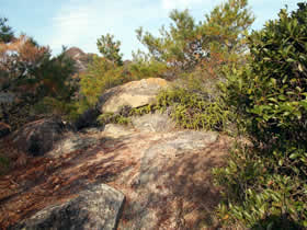 笠松山
