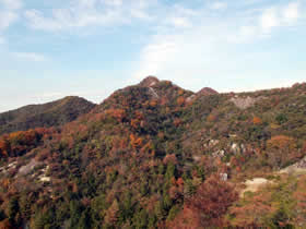 笠松山