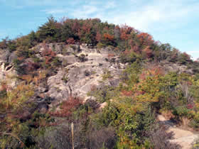 笠松山