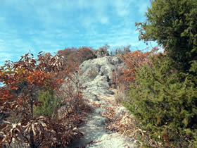 笠松山