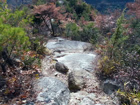 笠松山