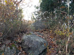 笠松山