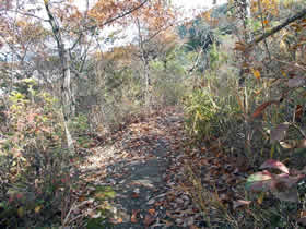 笠松山