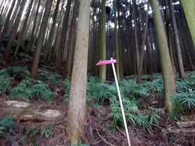 鎌倉山