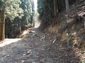 行者山