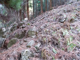 行者山