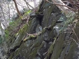 行者山