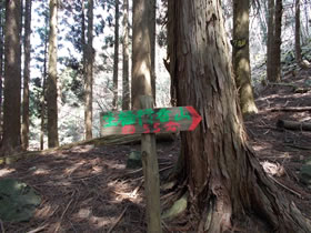 行者山
