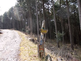行者山