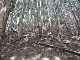 岩谷山