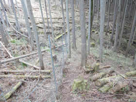 岩谷山