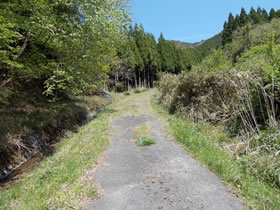 笠ヶ城山
