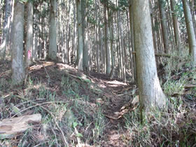 笠ヶ城山