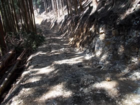 笠ヶ城山