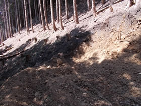 笠ヶ城山