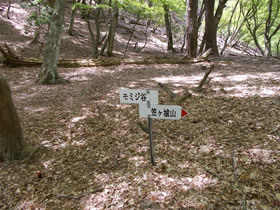 笠ヶ城山