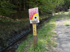 笠ヶ城山