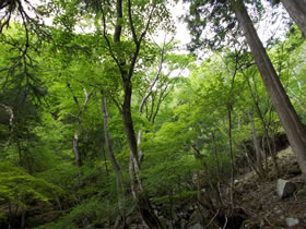 黒尾山