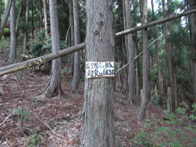 黒尾山