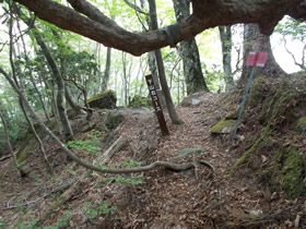 黒尾山