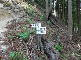 大甲山