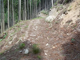 大甲山