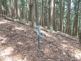 大甲山