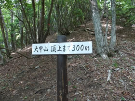 大甲山