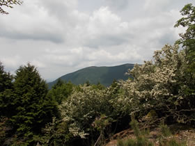 大甲山