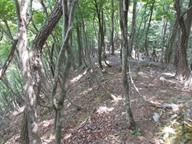大甲山