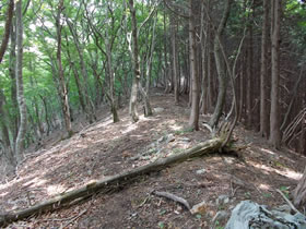 大甲山