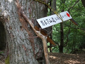 大甲山
