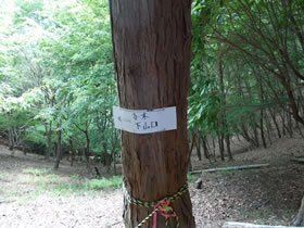 大甲山
