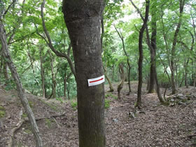 大甲山