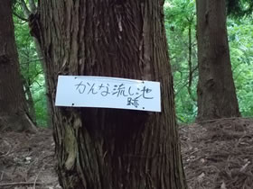 大甲山