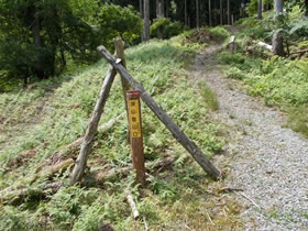 深山