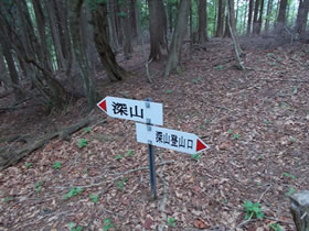 深山