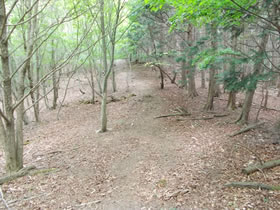 深山