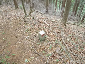 深山