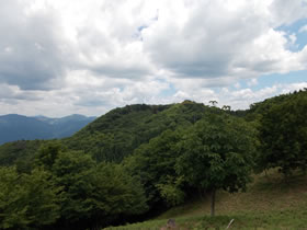 深山